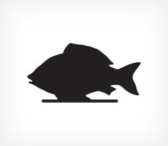  Меловая табличка «Рыба» BB FISH